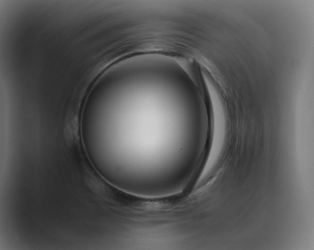 X0000089351465200706291011