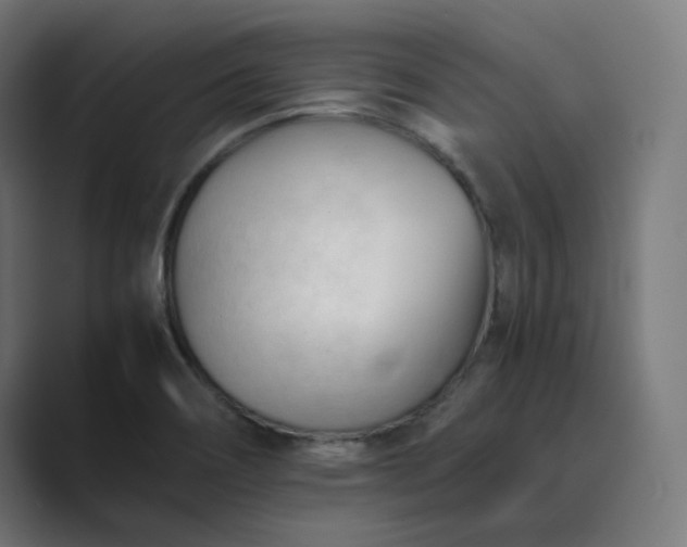 X0000089351466200706291011
