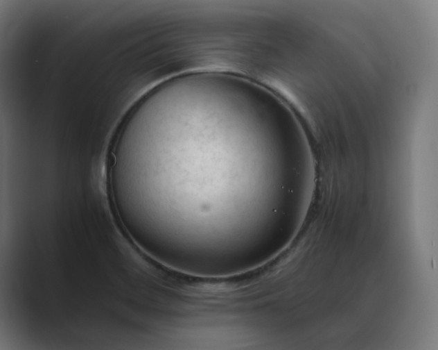 X0000089351468200706291011