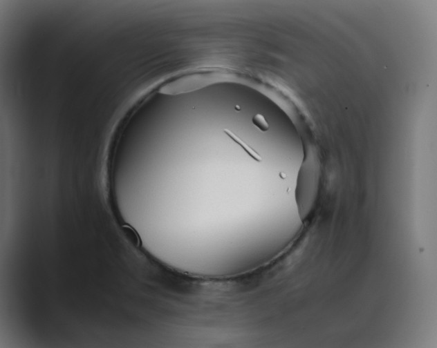 X0000089351469200706291011