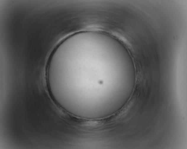 X0000089351470200706291011