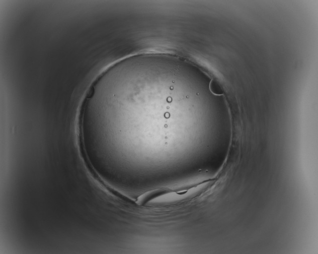 X0000089351471200706291011
