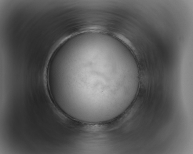 X0000089351474200706291011