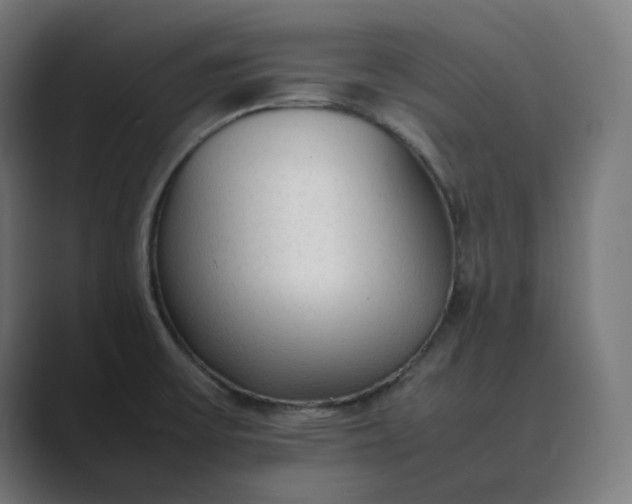 X0000089351475200706291011