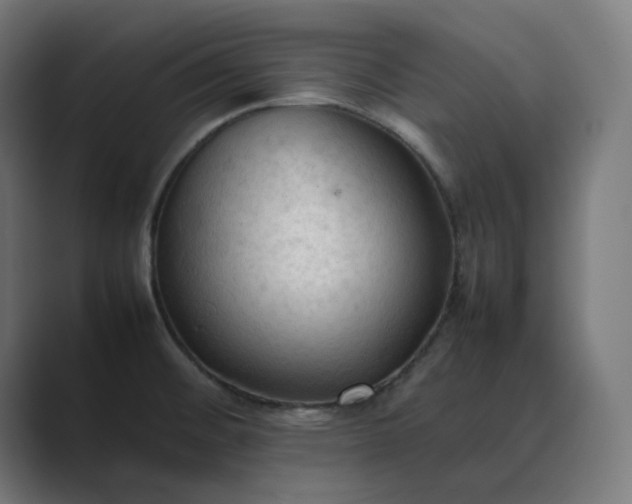X0000089351476200706291011