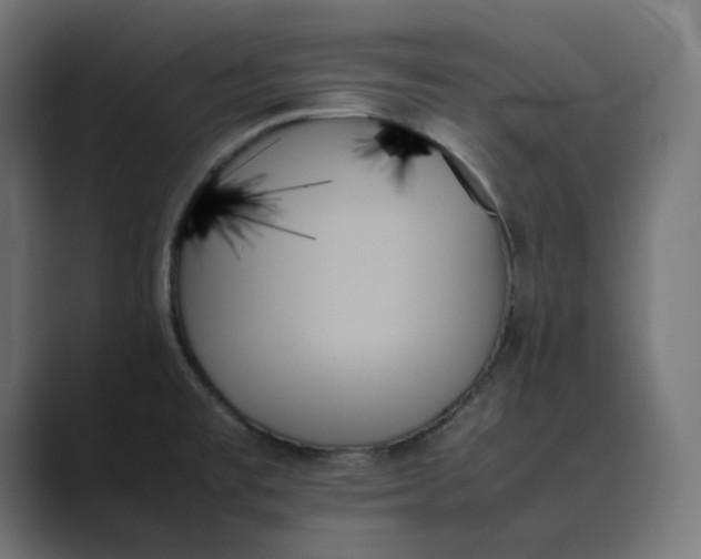 X0000089351477200706291011