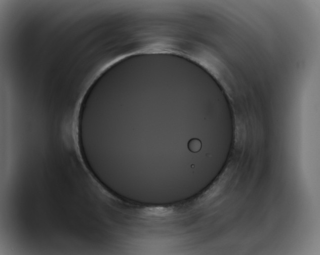 X0000089351478200706291011