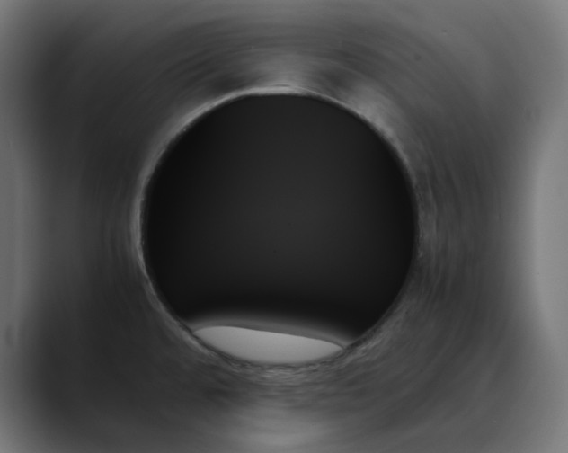 X0000089351480200706291011