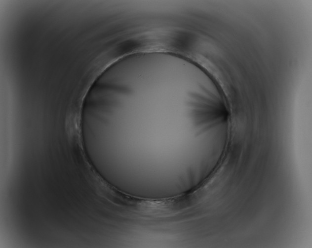 X0000089351481200706291011
