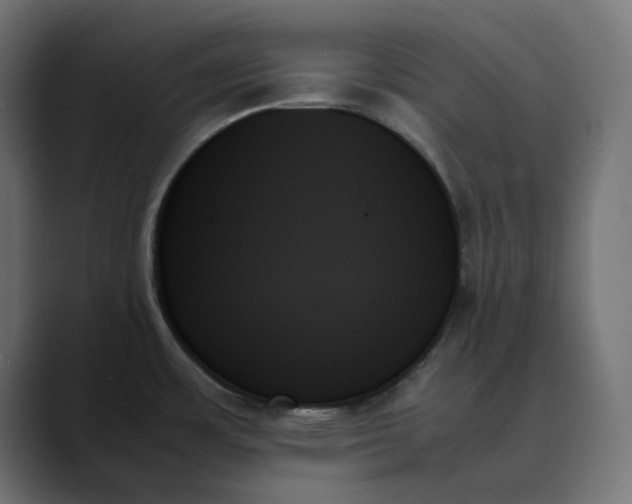 X0000089351483200706291011
