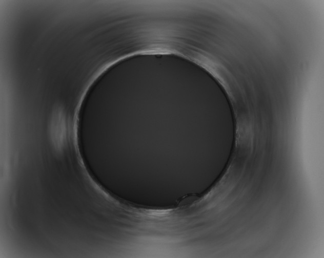 X0000089351484200706291011