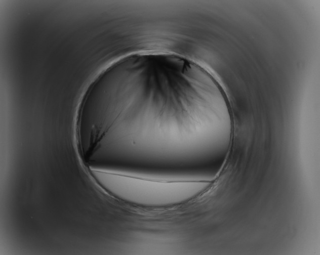 X0000089351485200706291011