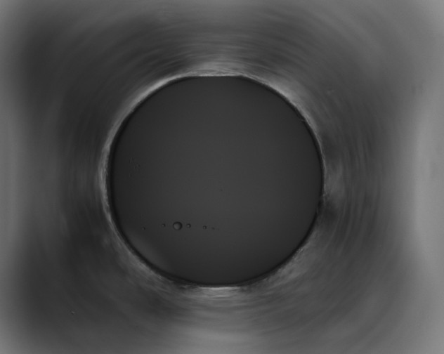 X0000089351486200706291011