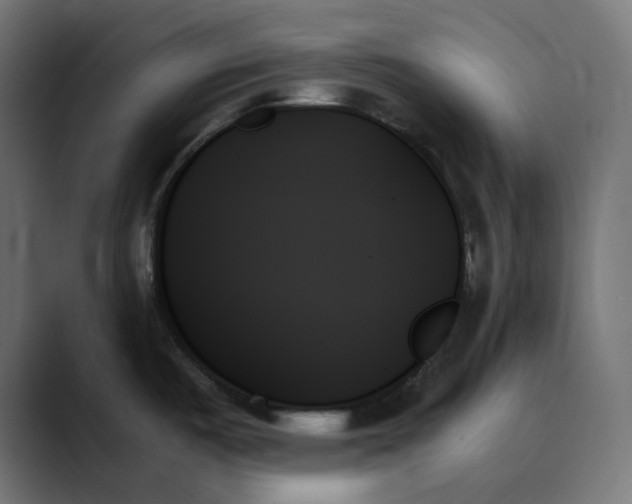 X0000089351487200706291011