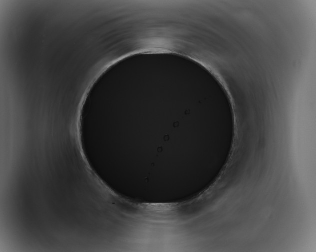 X0000089351488200706291011