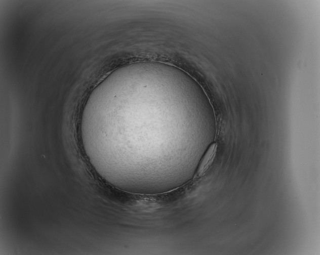 X0000089351489200706291010