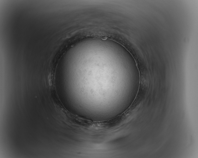 X0000089351490200706291011
