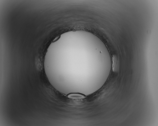 X0000089351491200706291011