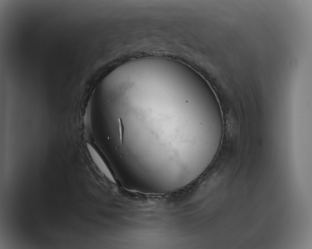 X0000089351494200706291011