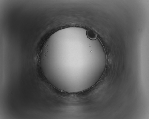 X0000089351495200706291011