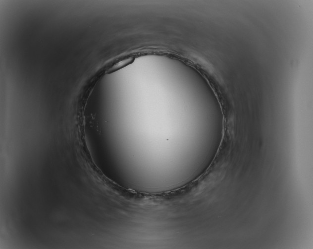 X0000089351496200706291011
