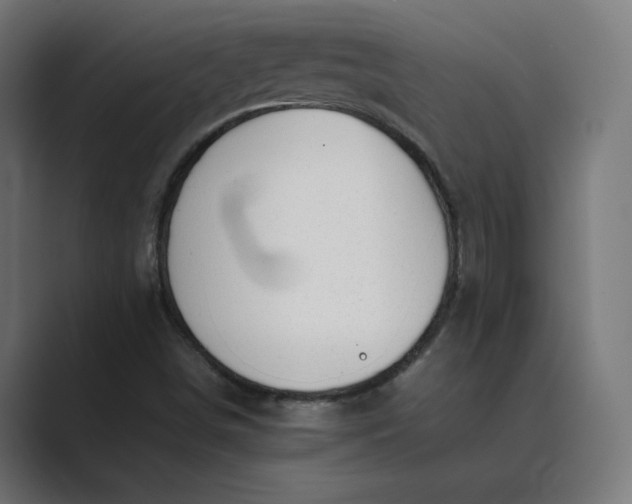 X0000089351498200706291011