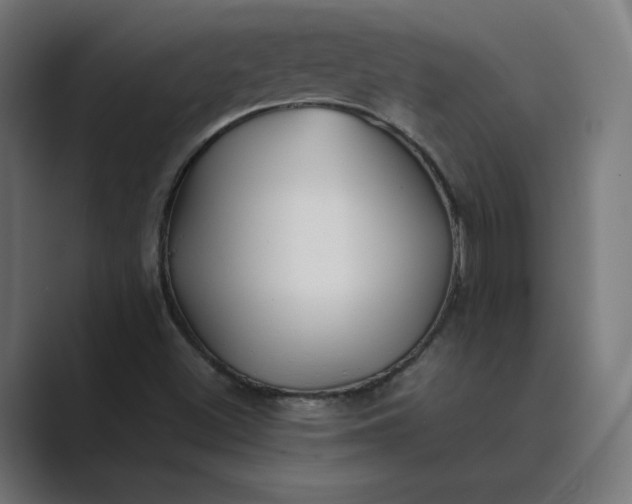 X0000089351500200706291011