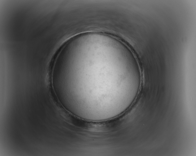 X0000089351501200706291011
