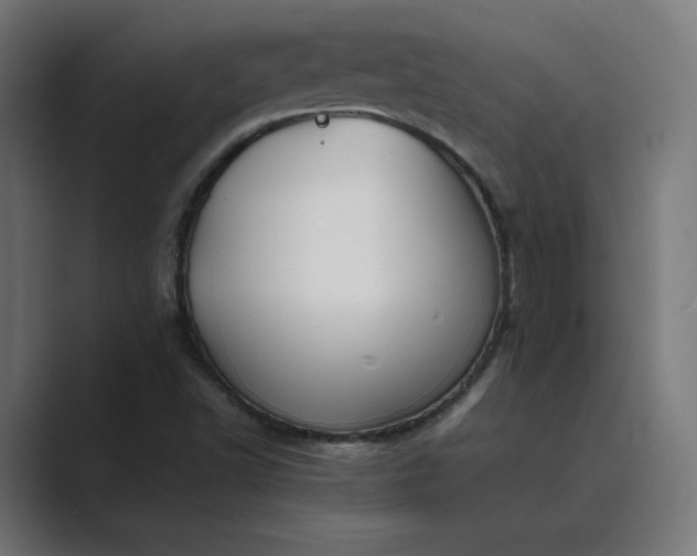 X0000089351502200706291011