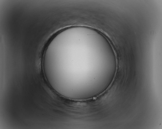 X0000089351503200706291011