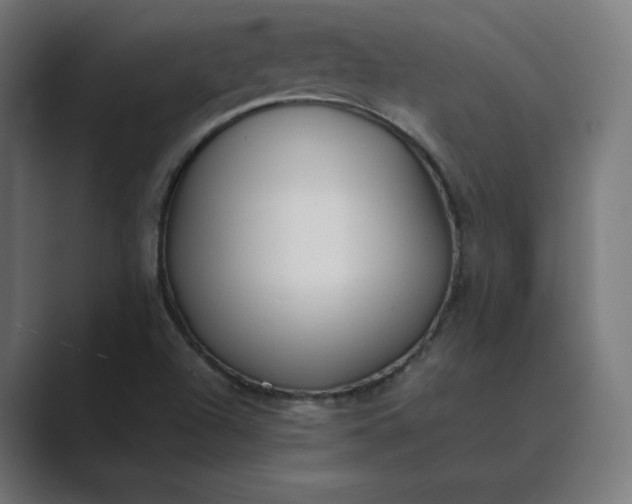 X0000089351504200706291011
