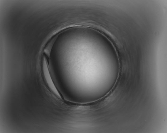 X0000089351506200706291011