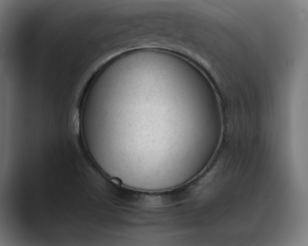 X0000089351509200706291011