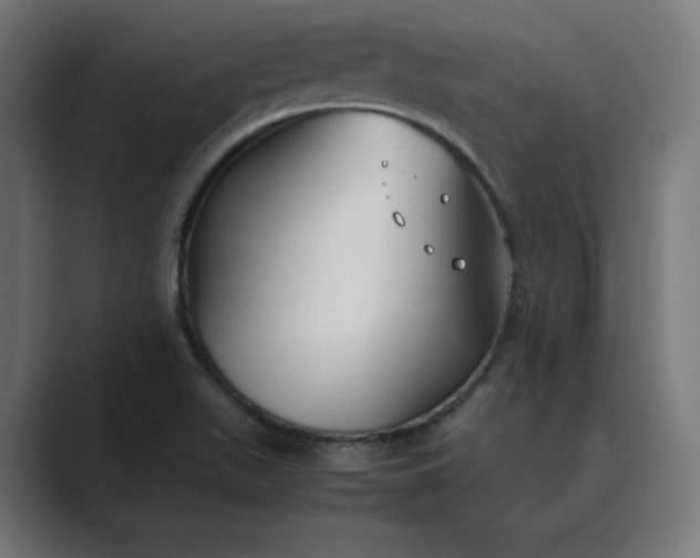X0000089351511200706291011