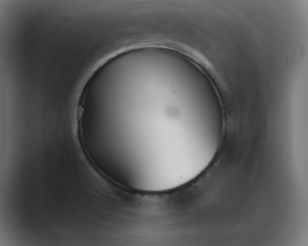 X0000089351512200706291011