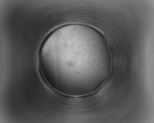 X0000089351515200706291011