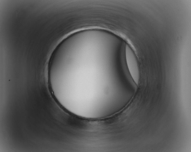 X0000089351516200706291011