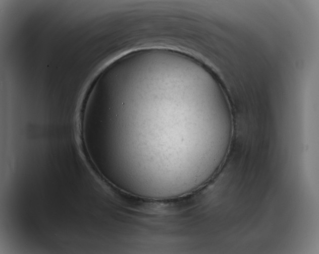 X0000089351517200706291011