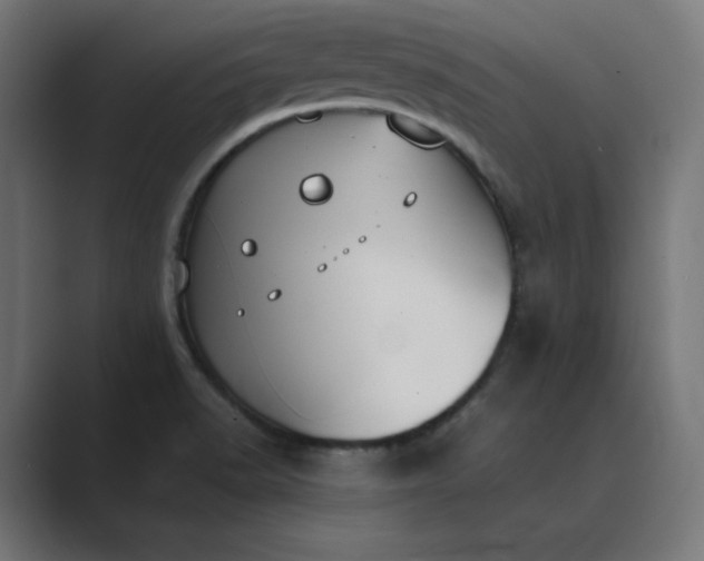 X0000089351518200706291011