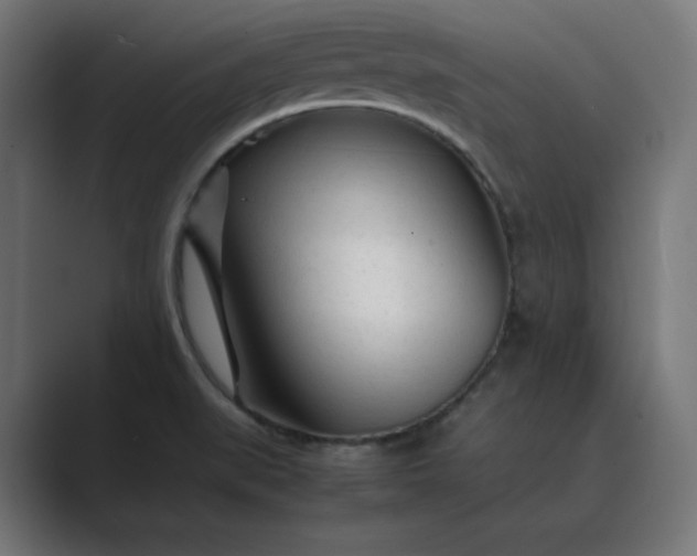 X0000089351519200706291011