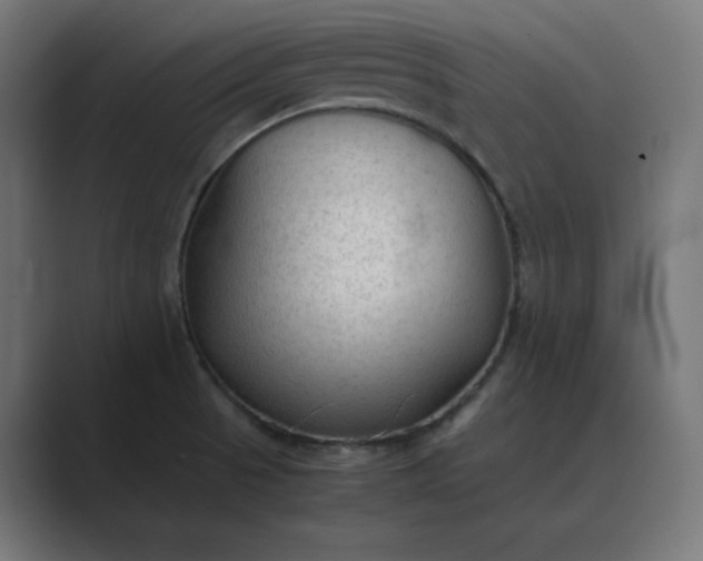 X0000089351521200706291011
