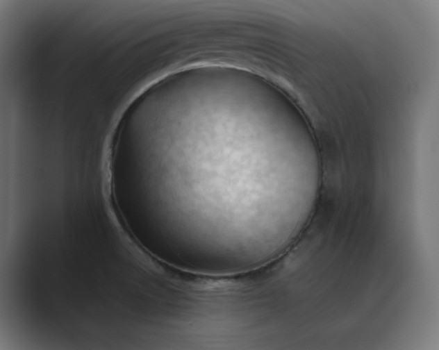 X0000089351522200706291011