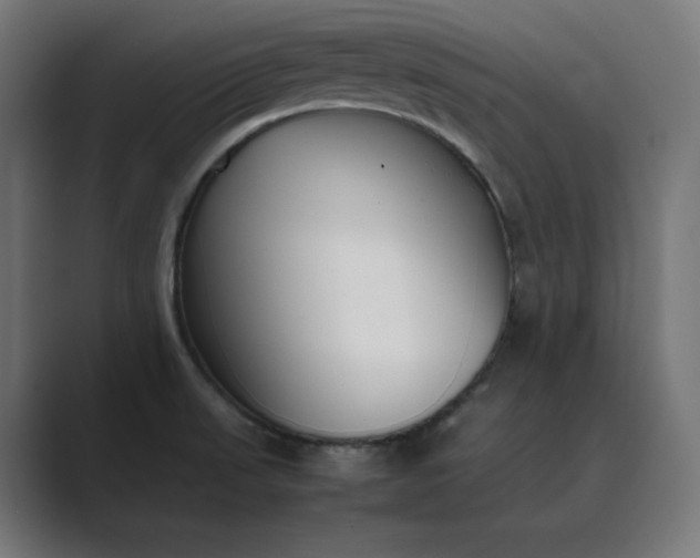 X0000089351523200706291011