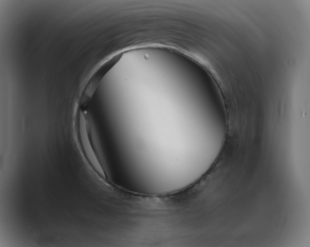 X0000089351524200706291011