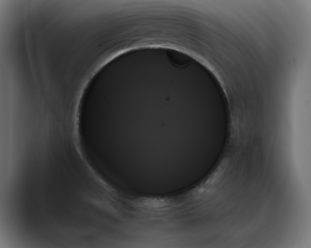 X0000089351525200706291011