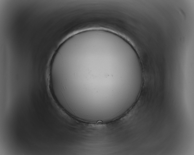X0000089351526200706291011