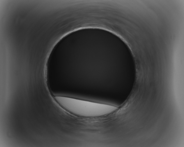 X0000089351527200706291011