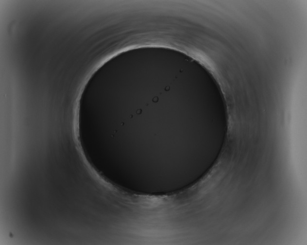 X0000089351528200706291011