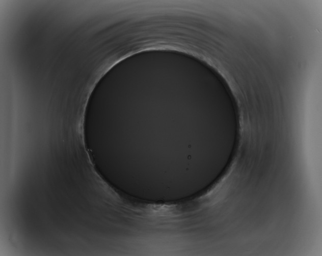 X0000089351529200706291011