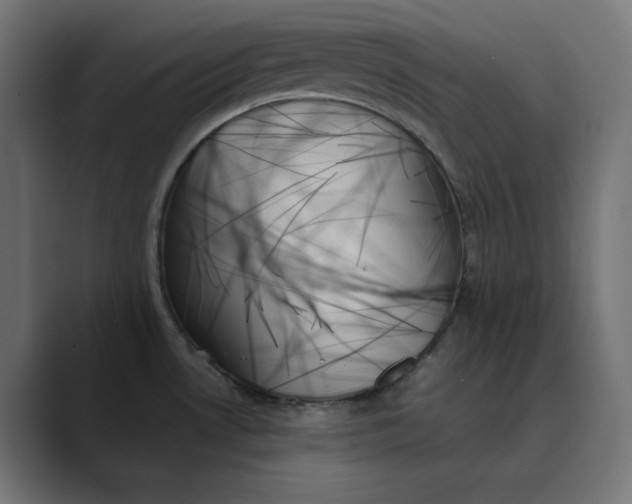X0000089351530200706291011